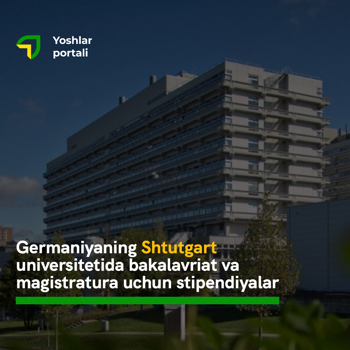 Doggy uslubidagi qizlarning samimiy shaxsiy fotosuratlari